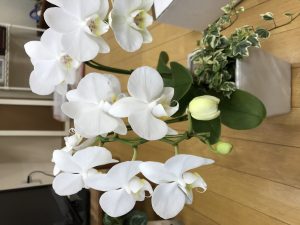 img_0907