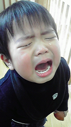 2010122412110000.jpg