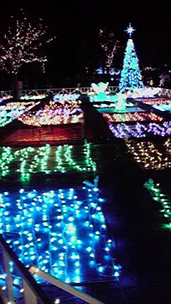 2011010919440000.jpg