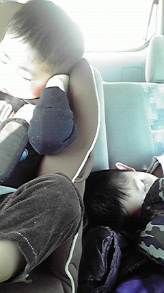 2011011015160000.jpg