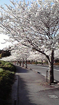 2011040617080000.jpg