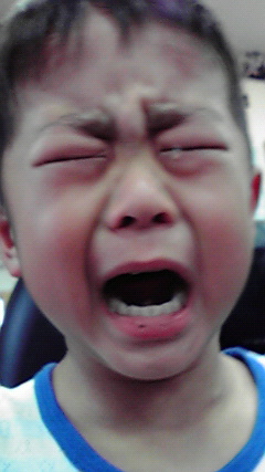2011050817400000.jpg
