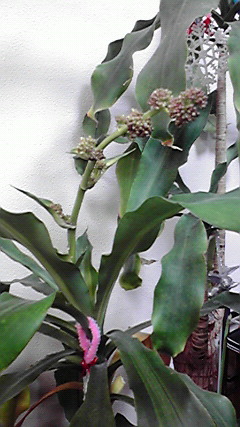 2011122219080000.jpg